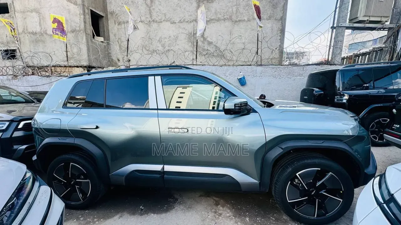 New BYD Leopard 3 2025 Gray