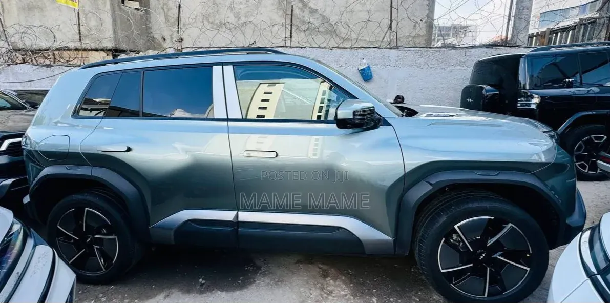 New BYD Leopard 3 2025 Gray