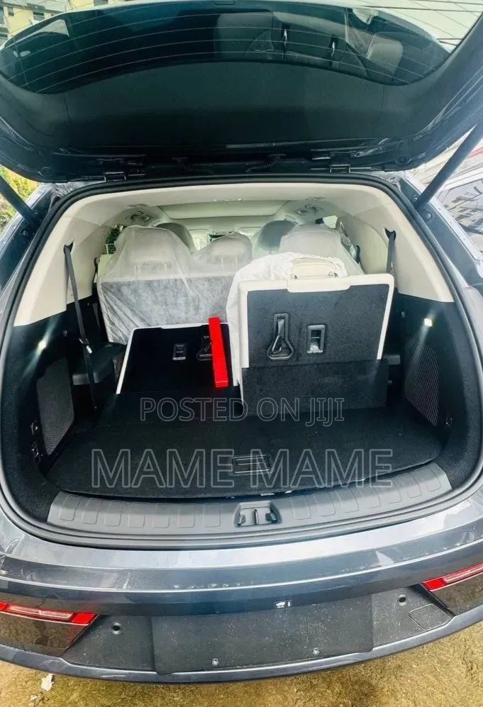 New BYD Tang EV 2025 Gray