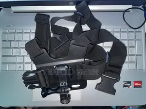 Chest Mount