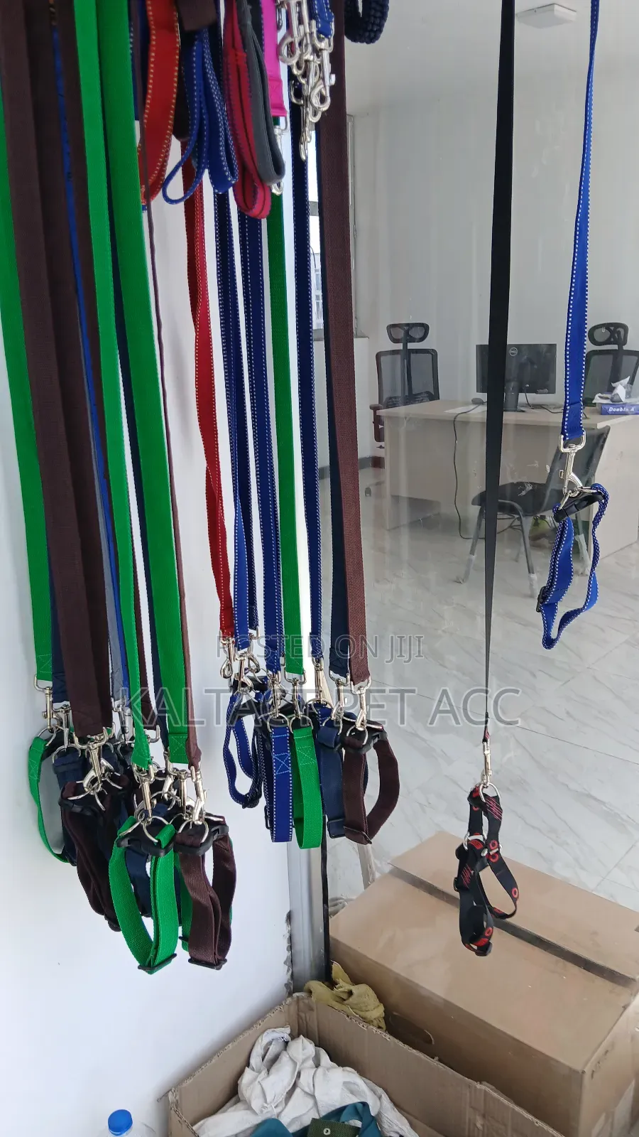 Dog Collar and Leash