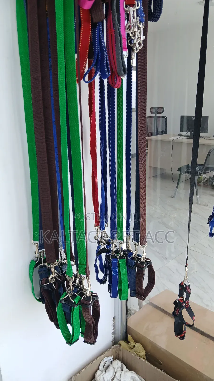 Dog Collar and Leash