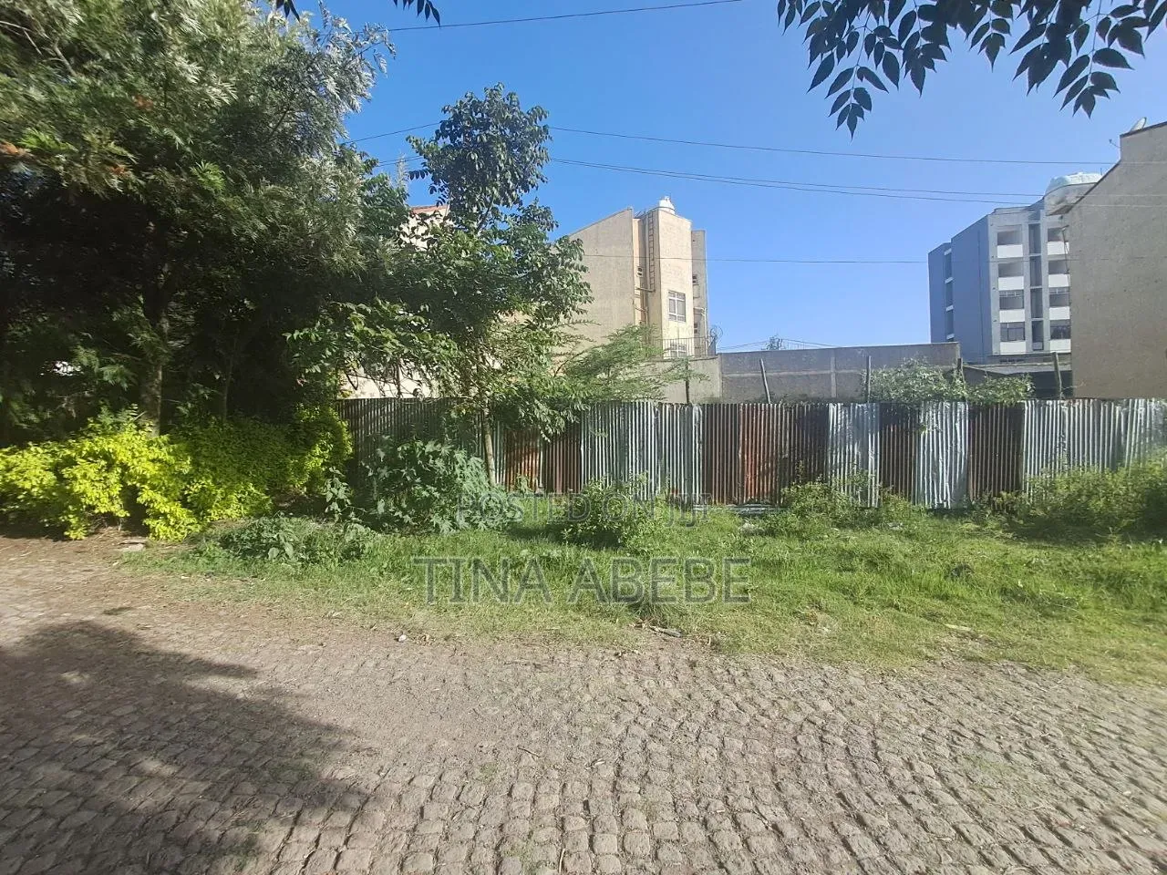 አስቸካይ የሚሸጥ ባታ ለ3የሚካፈል