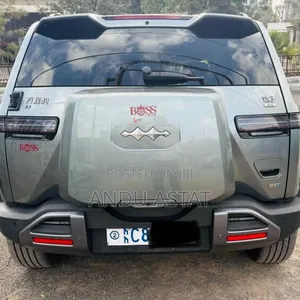 BYD Leopard 3 2025 Green