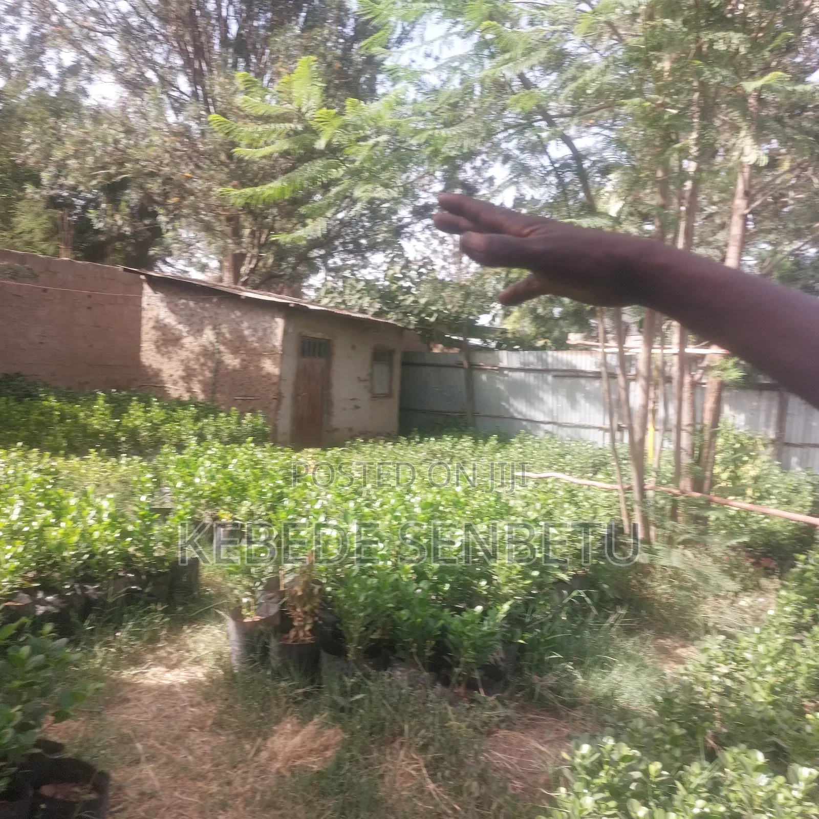 1bdrm House in Oromia, East Shewa for sale