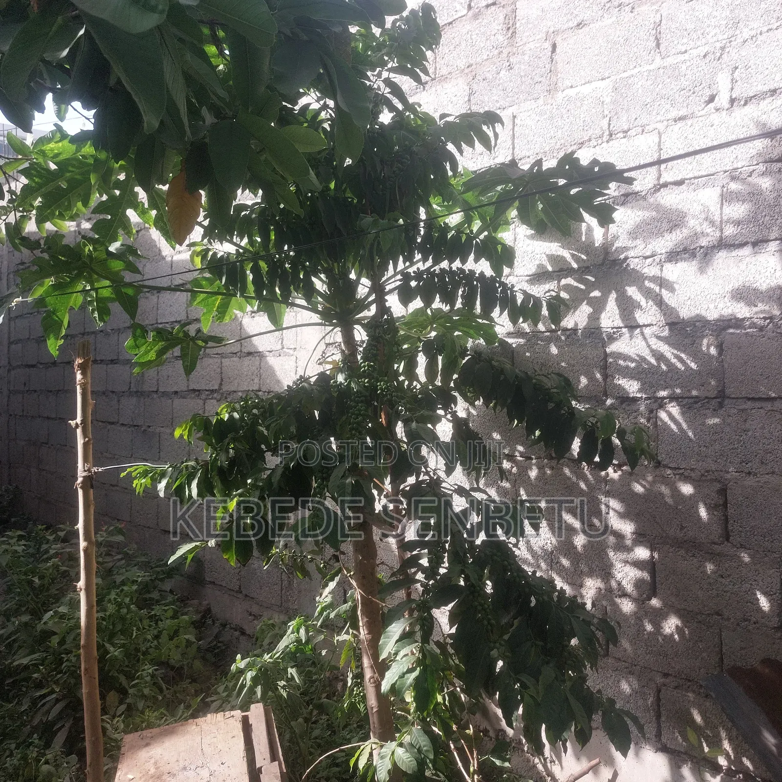 1bdrm House in Oromia, East Shewa for sale