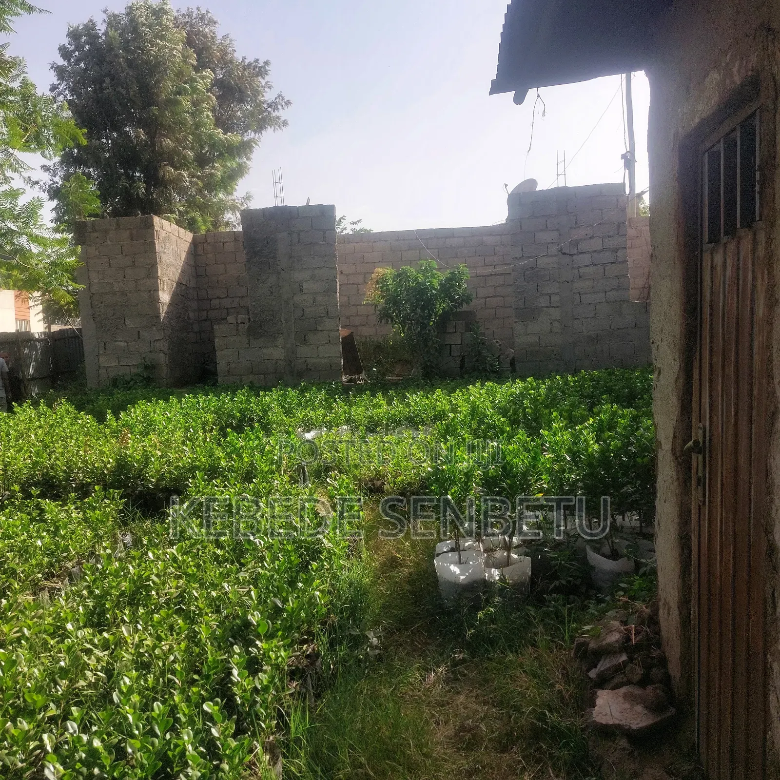 1bdrm House in Oromia, East Shewa for sale