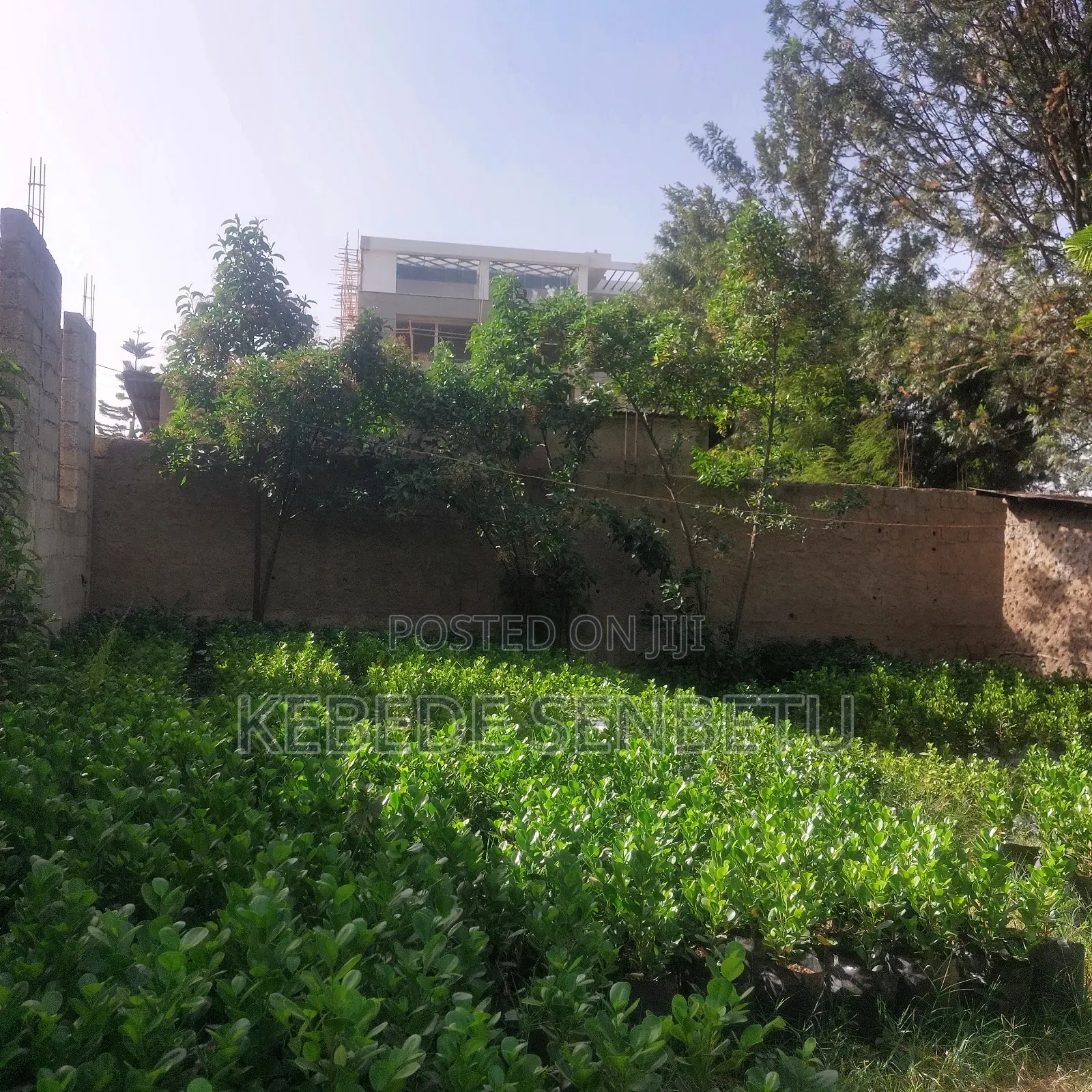 1bdrm House in Oromia, East Shewa for sale