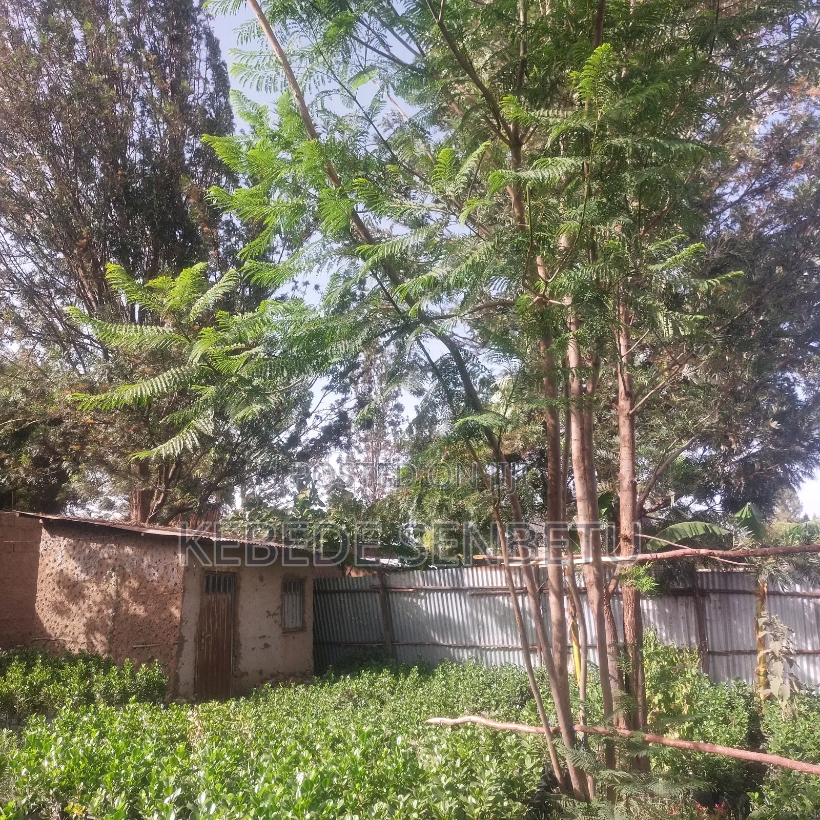 1bdrm House in Oromia, East Shewa for sale