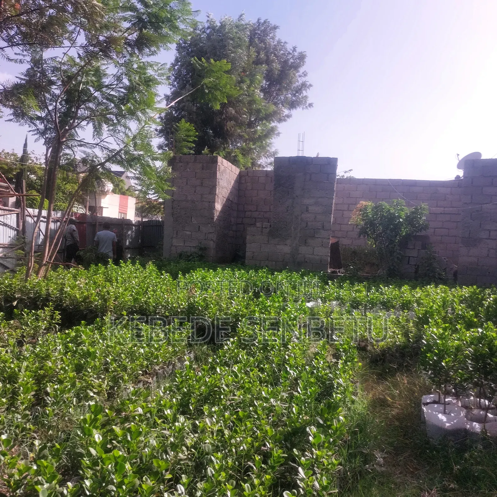 1bdrm House in Oromia, East Shewa for sale