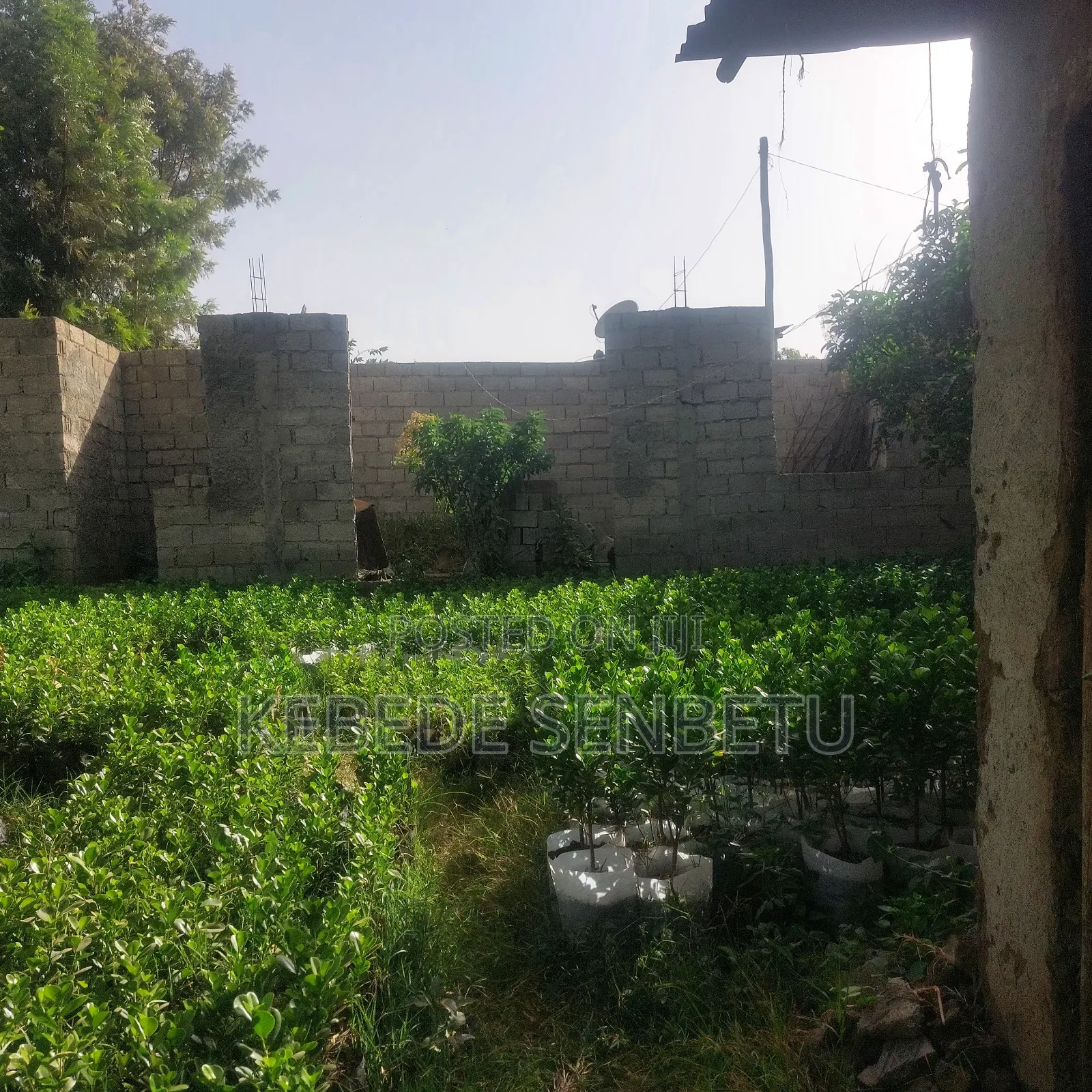 1bdrm House in Oromia, East Shewa for sale