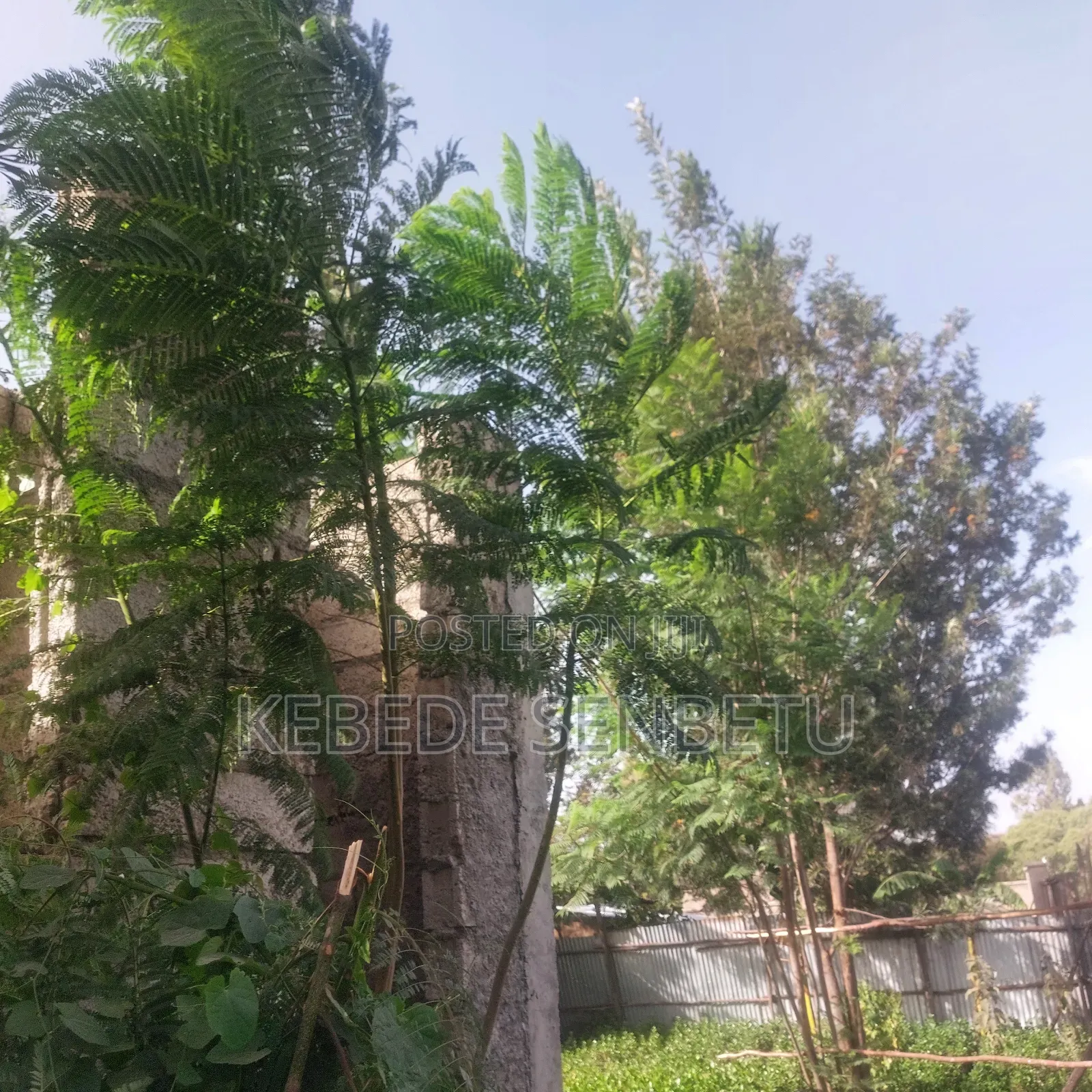 1bdrm House in Oromia, East Shewa for sale