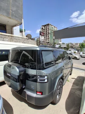 New BYD Leopard 7 2025 Green