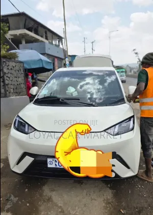 BYD Seagull 2024 White