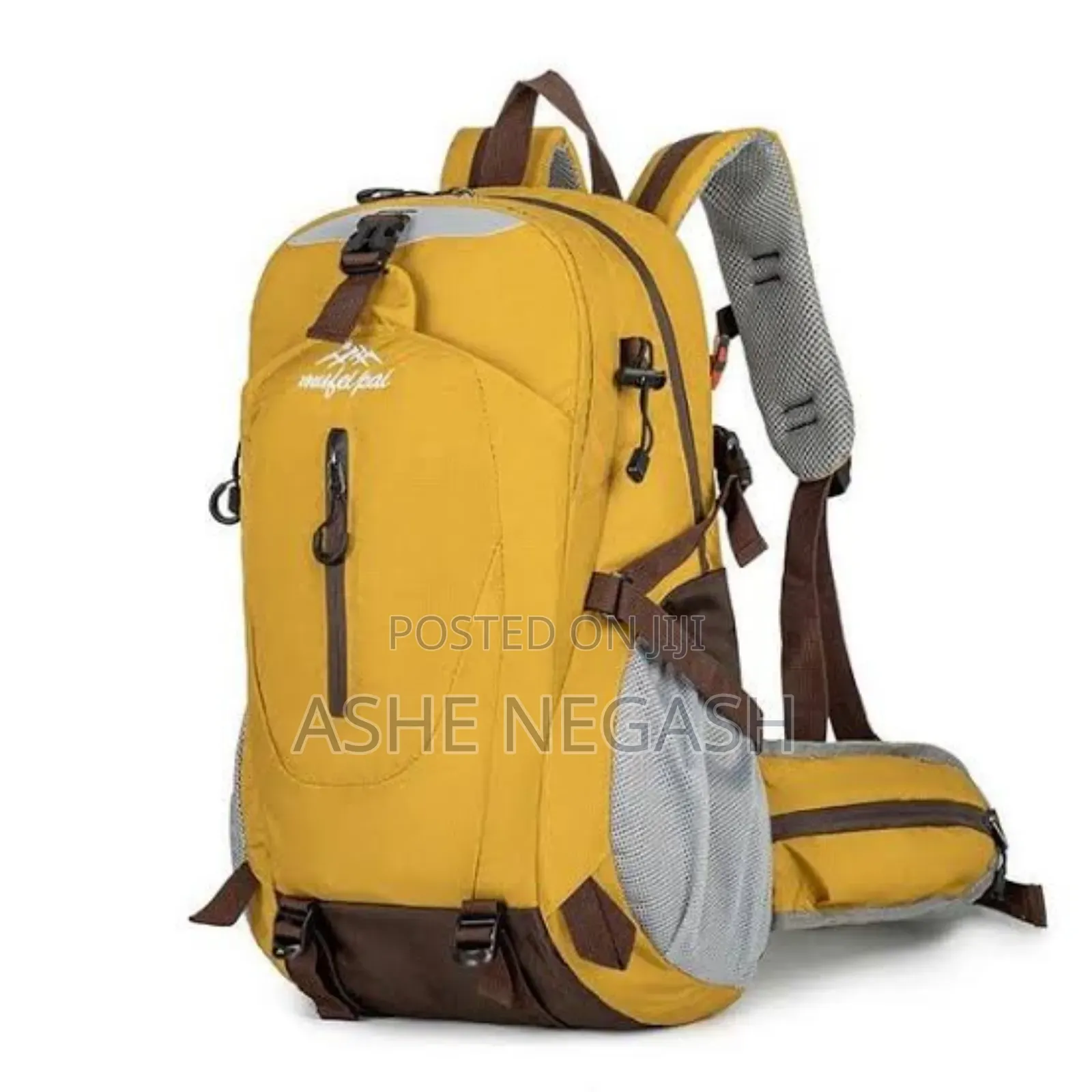 Royal Mountain Baga