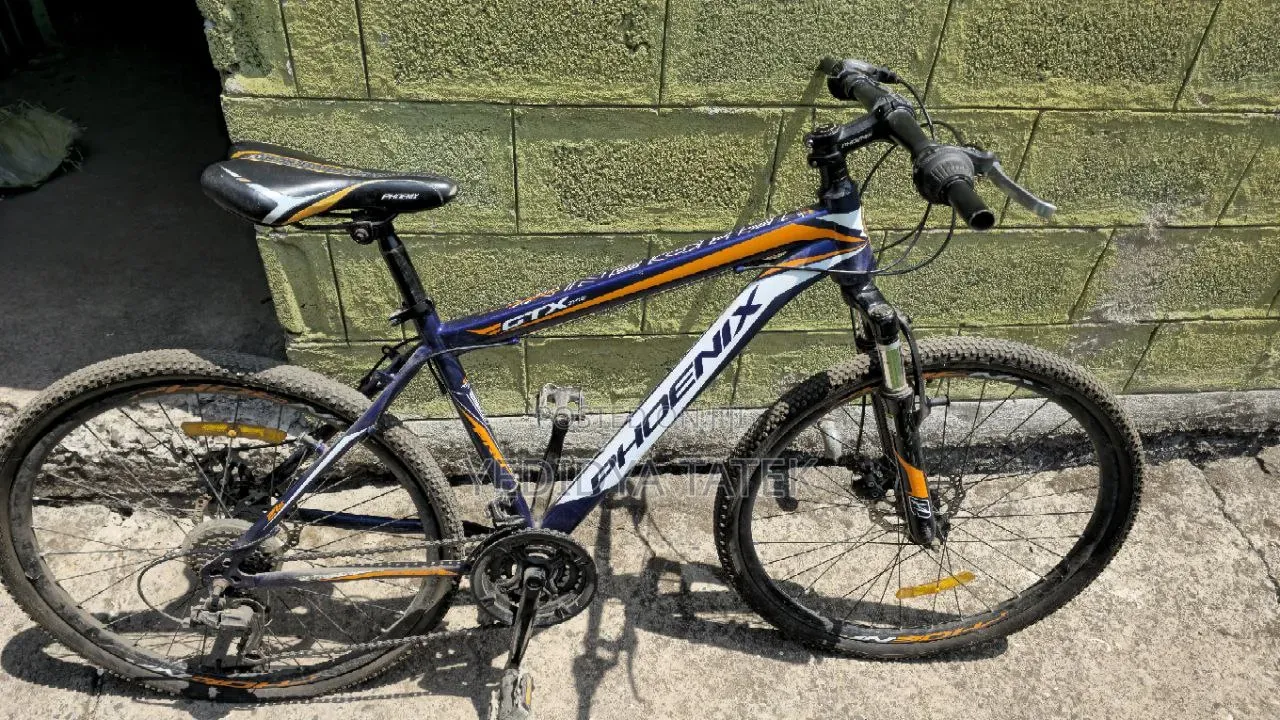 Phoenix Bike