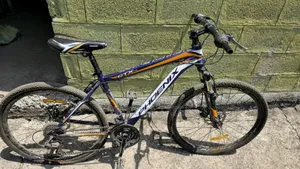 Phoenix Bike