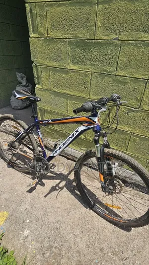 Phoenix Bike