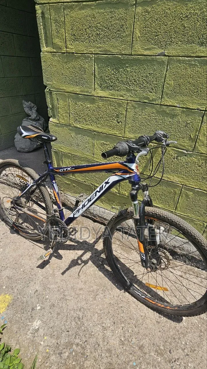 Phoenix Bike