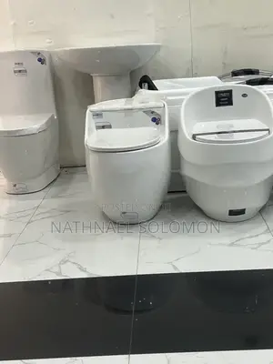 Gold Dragon Toilet