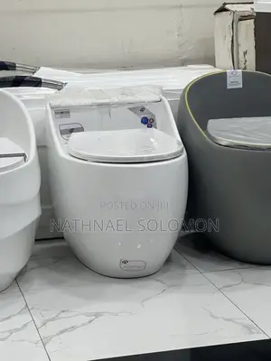 Gold Dragon Toilet