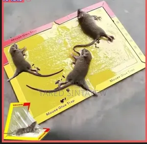 Rat ገላግሌ የአይጥ ወጥመድ ማስቲሹ ከያዘ አይለቃቸውም