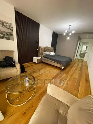 Furnished 2bdrm Apartment in Bole for rent