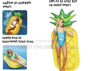 Inflatable Pool Air Mattress,