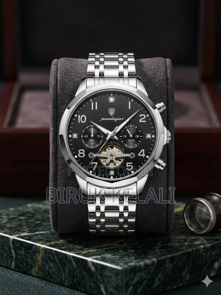 Poedagar Stainless Steel Men's Luxury Wristwatch