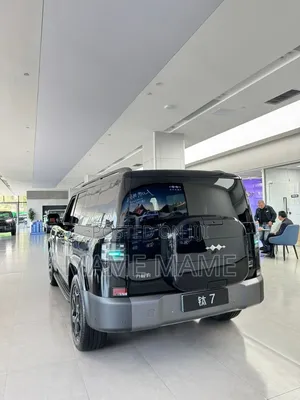 New BYD Leopard 7 2025 Black