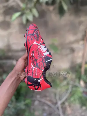 Sport Shoes