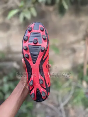 Sport Shoes