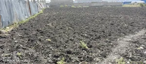 የሚሸጥ 2000 ካሬሜትር ለፋብሪካ ባዶ ቦታ