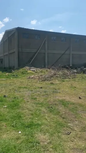 Warehouse and Land