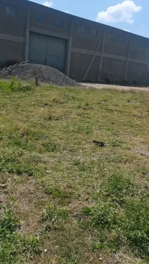 Warehouse and Land