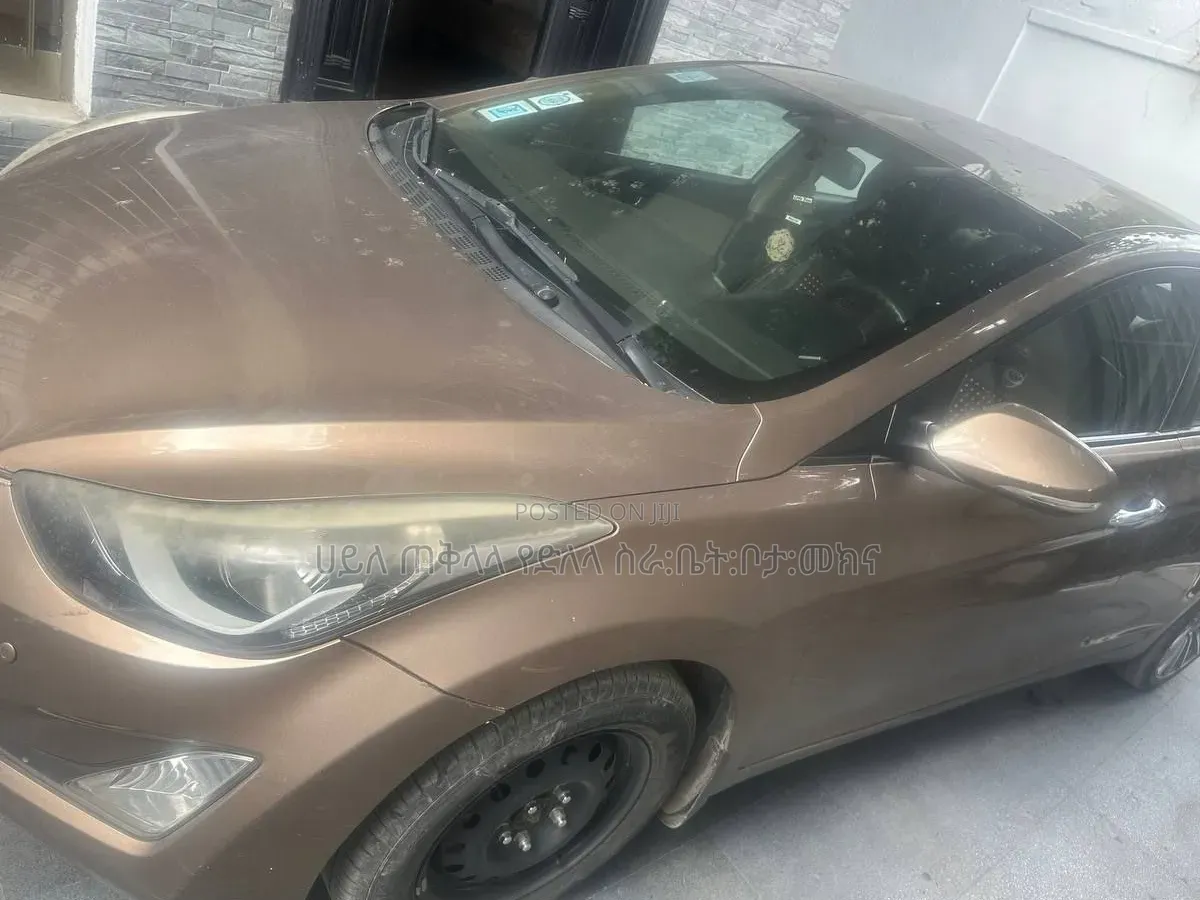 Hyundai Elantra 2012 Pink