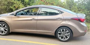 Hyundai Elantra 2014 Pink