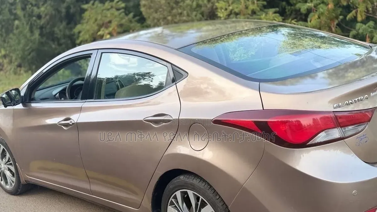Hyundai Elantra 2014 Pink