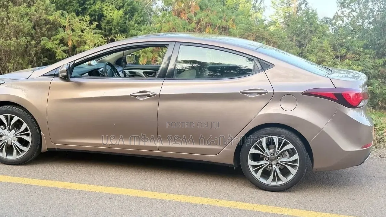 Hyundai Elantra 2014 Pink