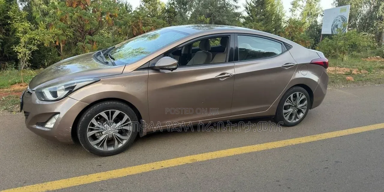 Hyundai Elantra 2014 Pink