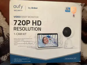 Camera With Monitor