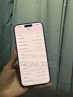 Apple iPhone 15 Pro Max 256 GB Gray
