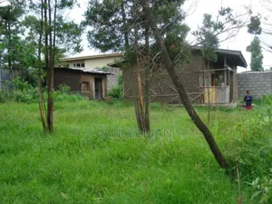 House for Sells