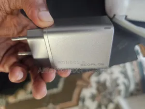 Ecoflow Charger