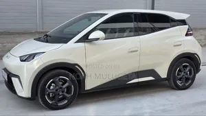 New BYD Seagull 2025