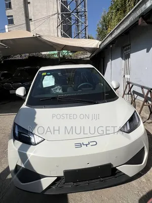 New BYD Seagull 2025