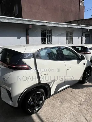New BYD Seagull 2025