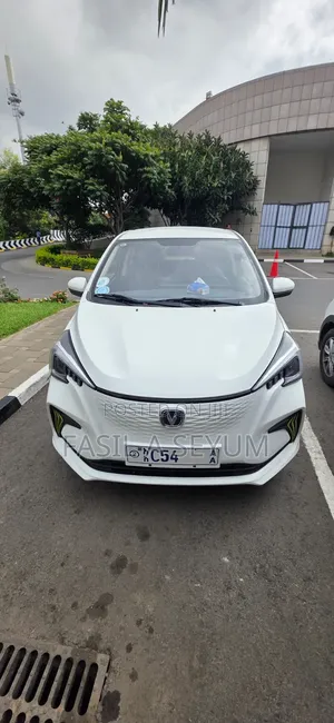 Changan BenBen 2024 White