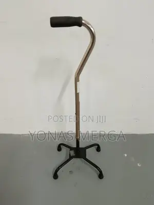 Four-Legged Walking Stick戶古best of All, Unlike a Standard Quad Cane