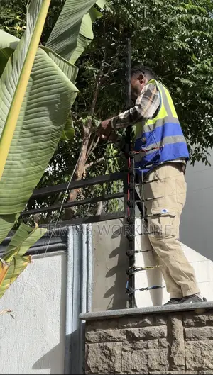 አደገኛ አጥር(Electric Fence)